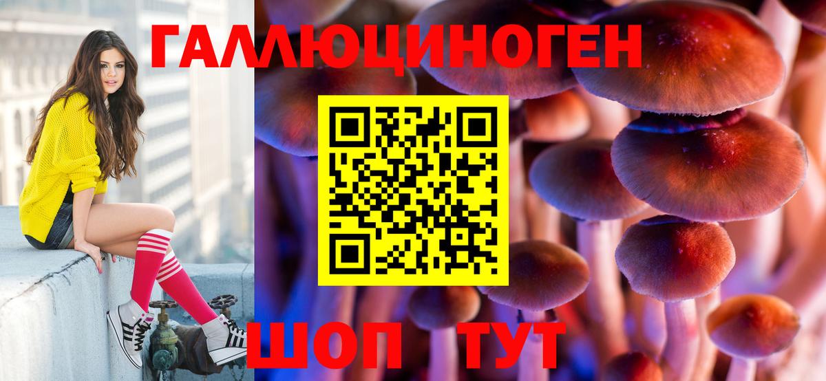 Азов  Галлюциногенные грибы мицелий  Псилоцибиновые грибы Psilocybine cubensis  Вход с VPN 