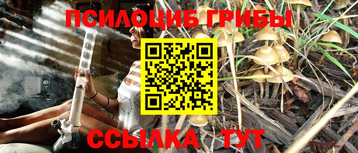 Галлюциногенные грибы Cubensis Азов