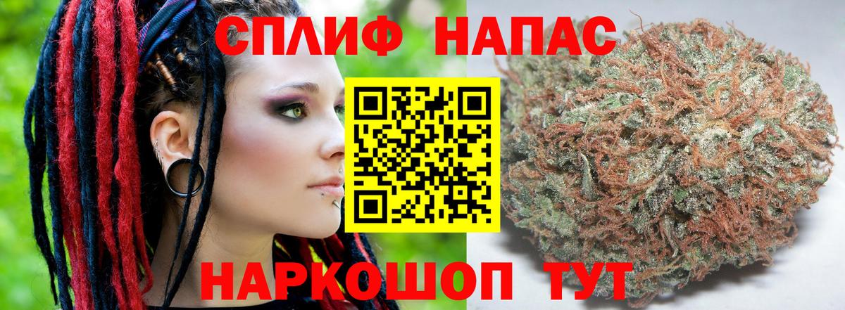 Бошки Шишки сатива Азов